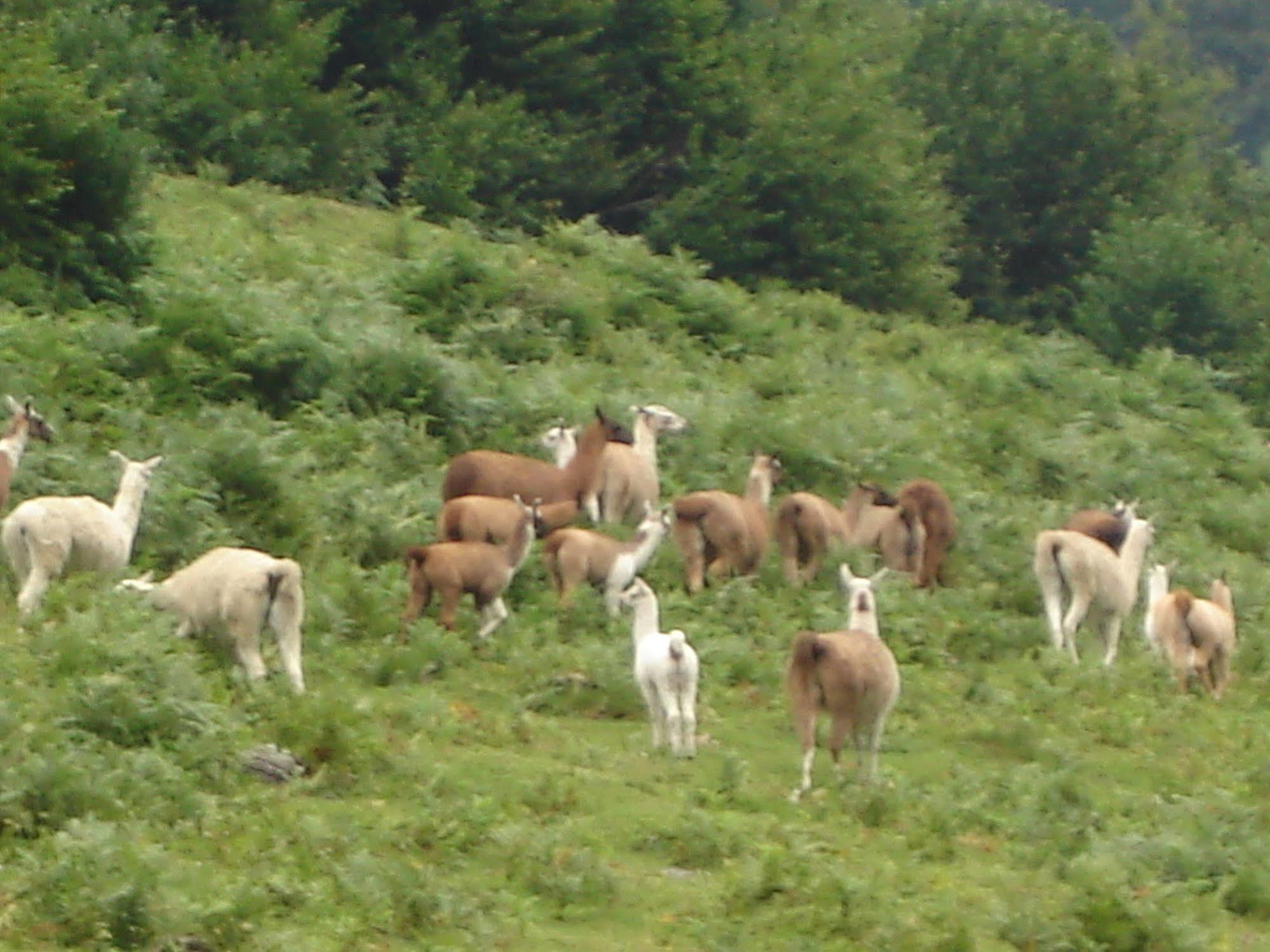 Gite Auberge Les Cascades 라몽지 외부 사진